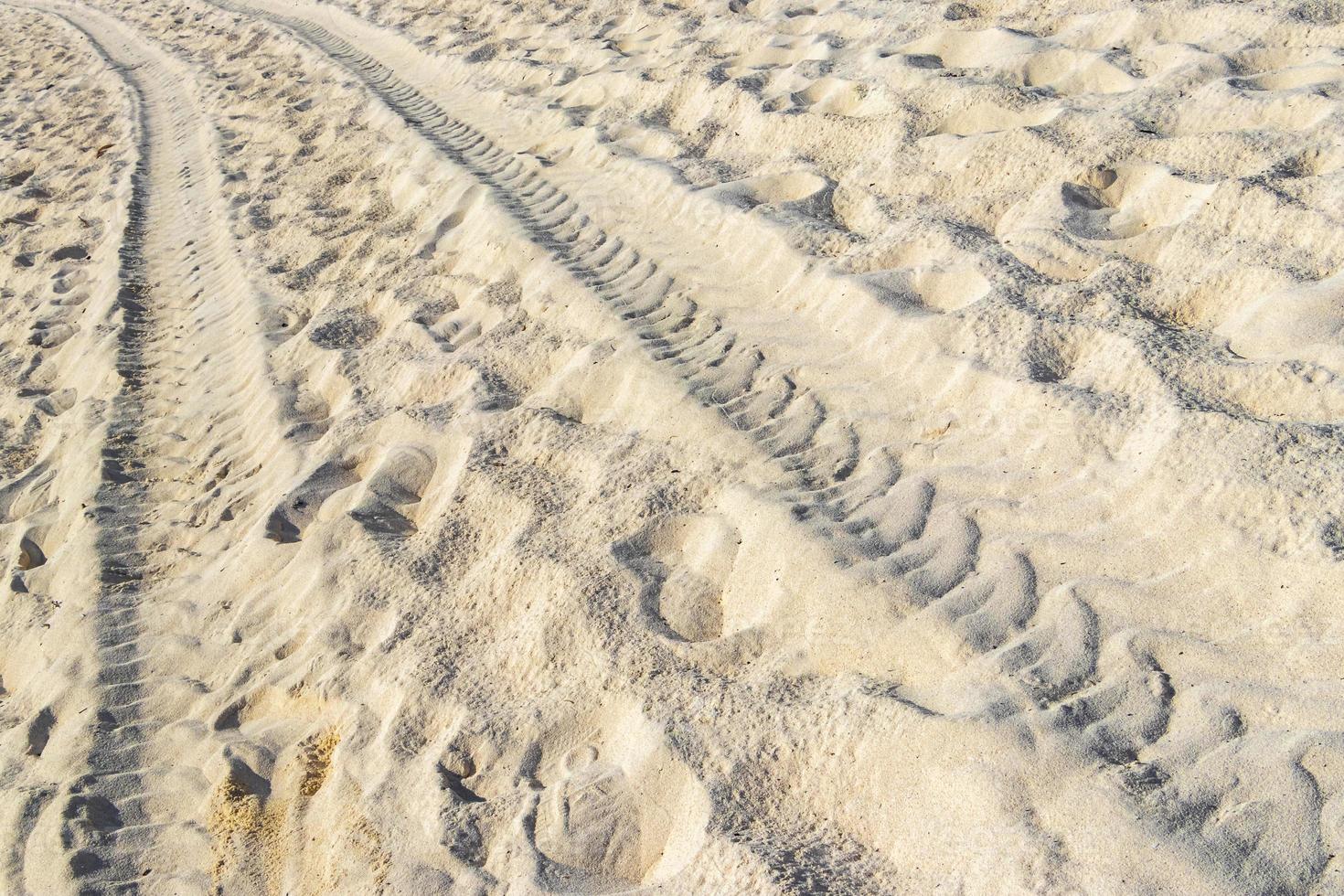 Ruts of an excavator in the beach sand in Mexico. photo