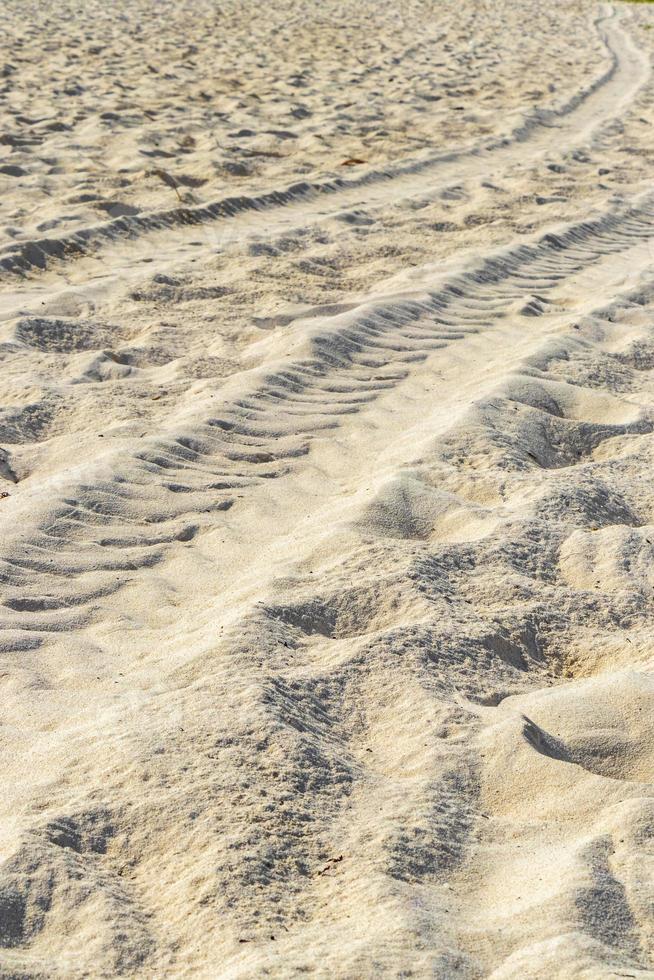 Ruts of an excavator in the beach sand in Mexico. photo