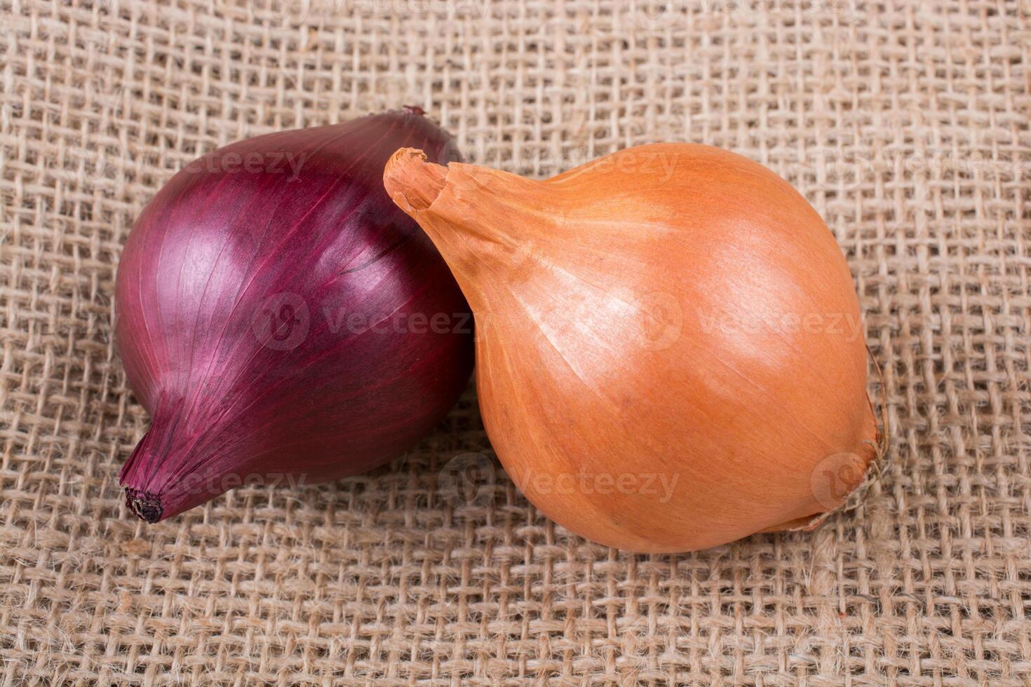 Onion bulbs placed on canvas 16792436 Stock Photo at Vecteezy