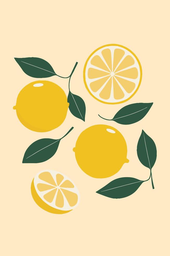 lemon fruit, lemon slice hand drawn flat vector illustration background