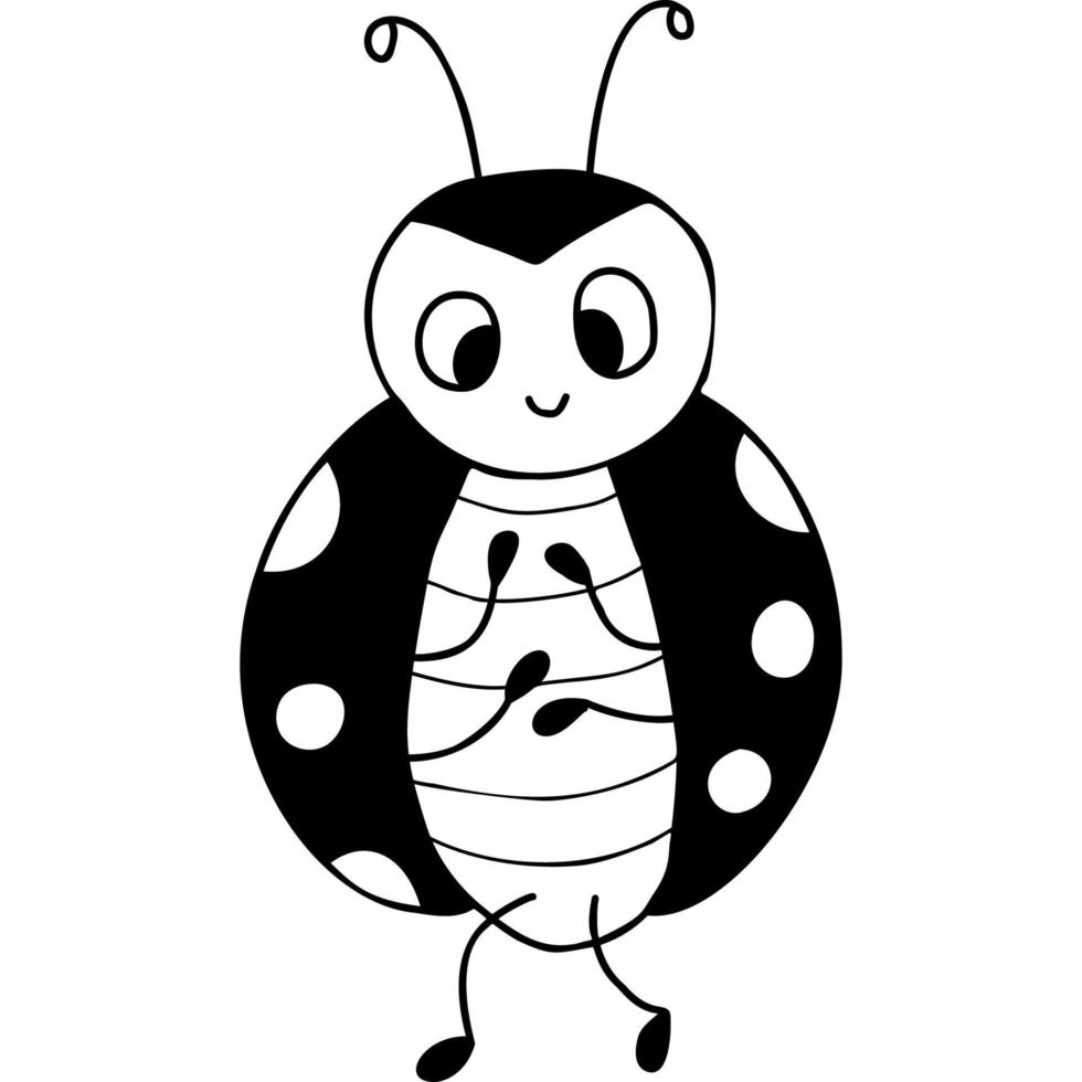 insect. Cute  ladybug. Hand drawn doodle vector