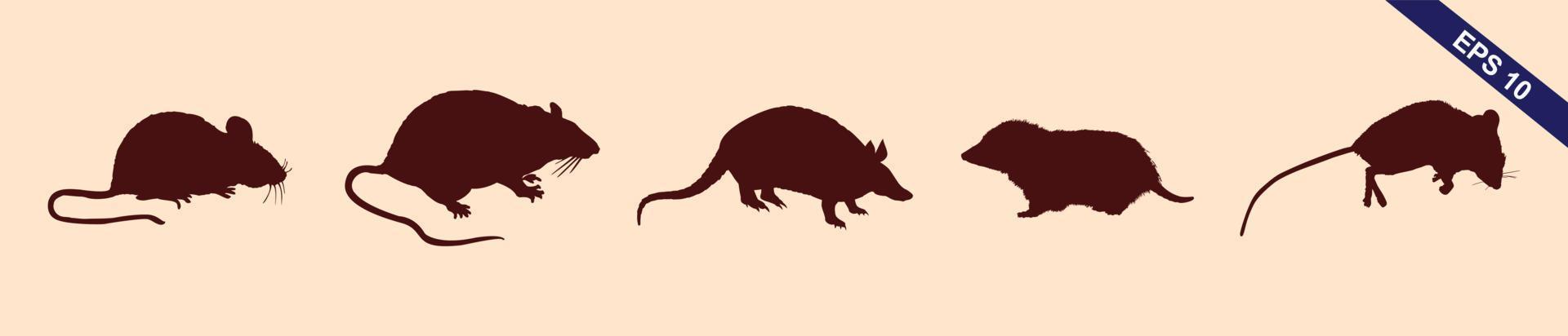 colección de ratas y ratones - silueta vectorial vector