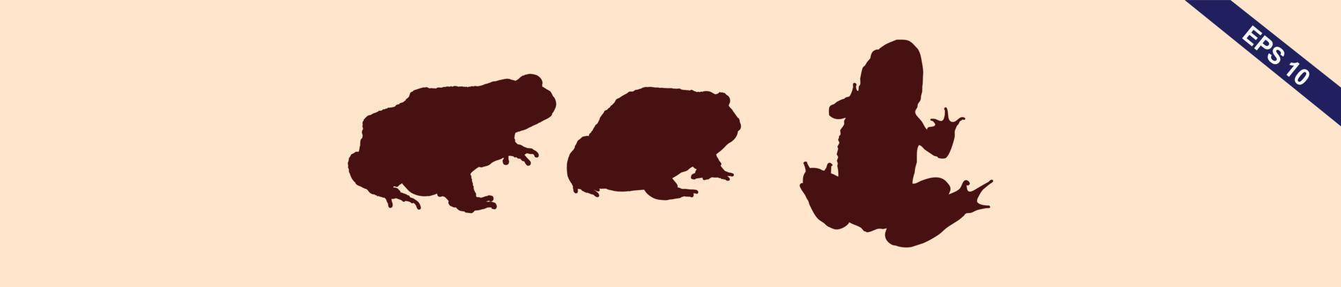 Vector amphibian silhouette on the white background. Frog silhouettes. Collection of vector amphibian silhouette isolated. Vector silhouettes of amphibian, top view