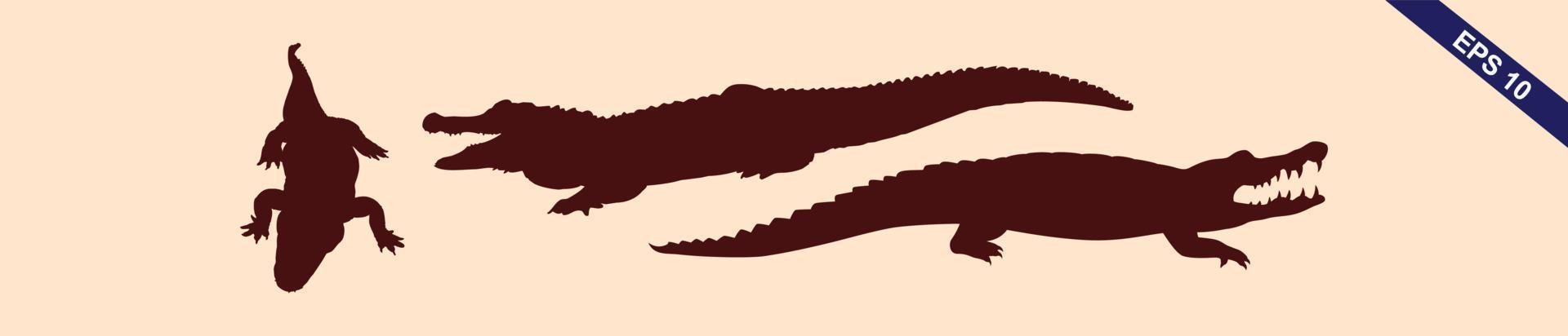 Crocodile and alligator silhouette set vector