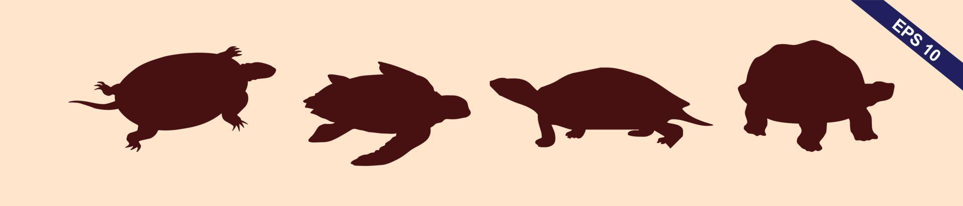 Turtle Vector Silhouettes. Collection of turtle vector silhouettes.