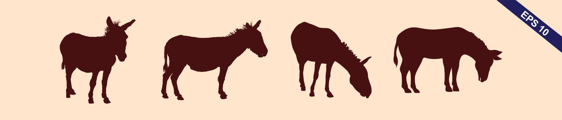 A set of detailed high quality donkey farm animal silhouettes vector