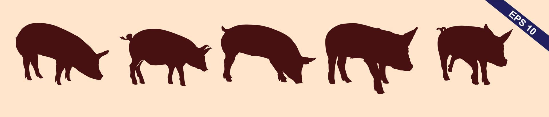 Quality Brown and white vector silhouettes of pigs