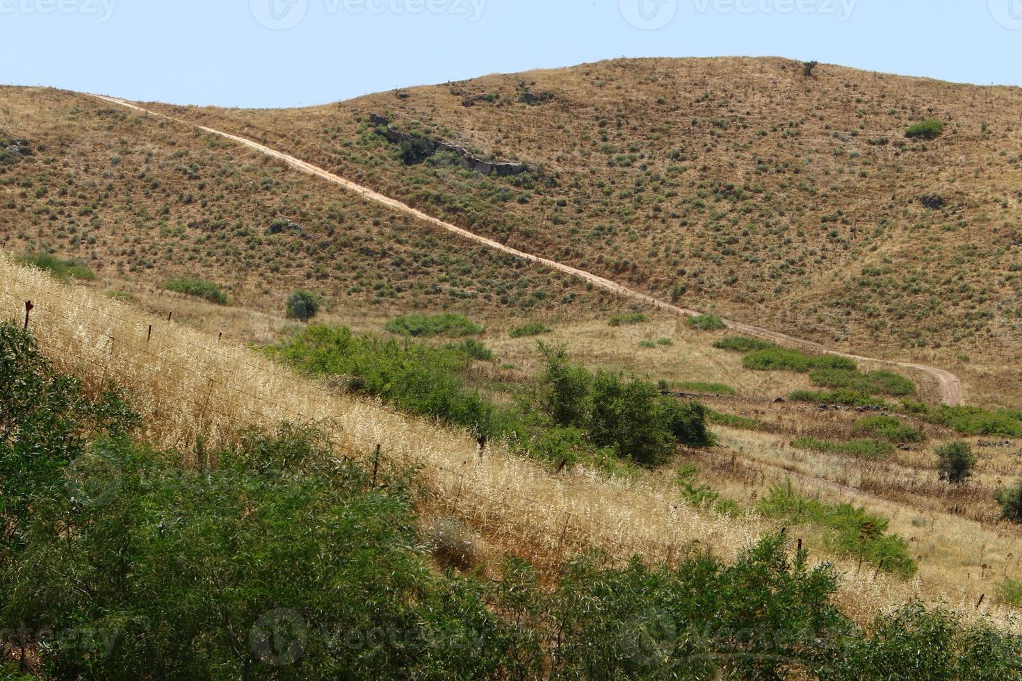 Forest country road in northern Israel. photo