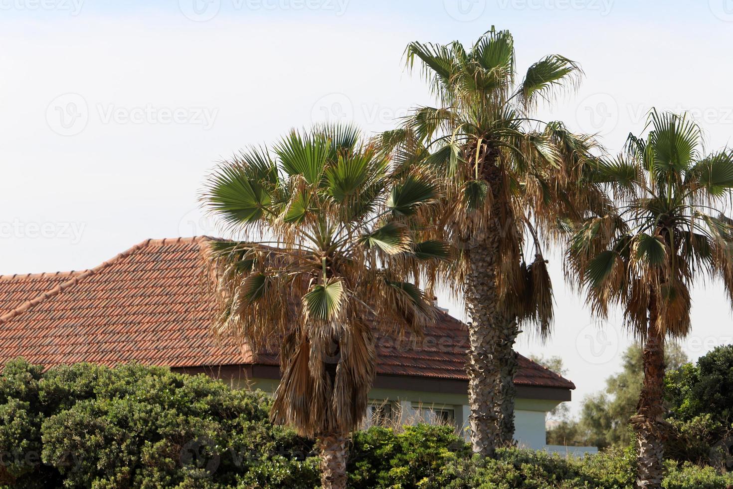 Tiled roof on a residential building in Israel. photo