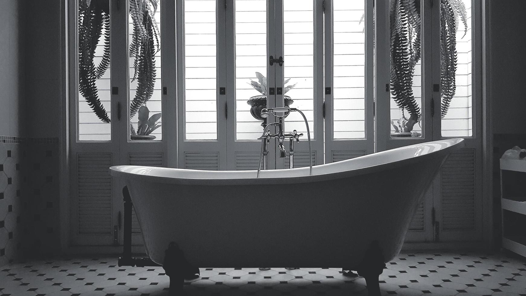 Vintage bathtub with window or door and vine, creeping plant or tree background in monochrome style. Retro object and Room design in black and white tone. Beautiful Bathroom photo