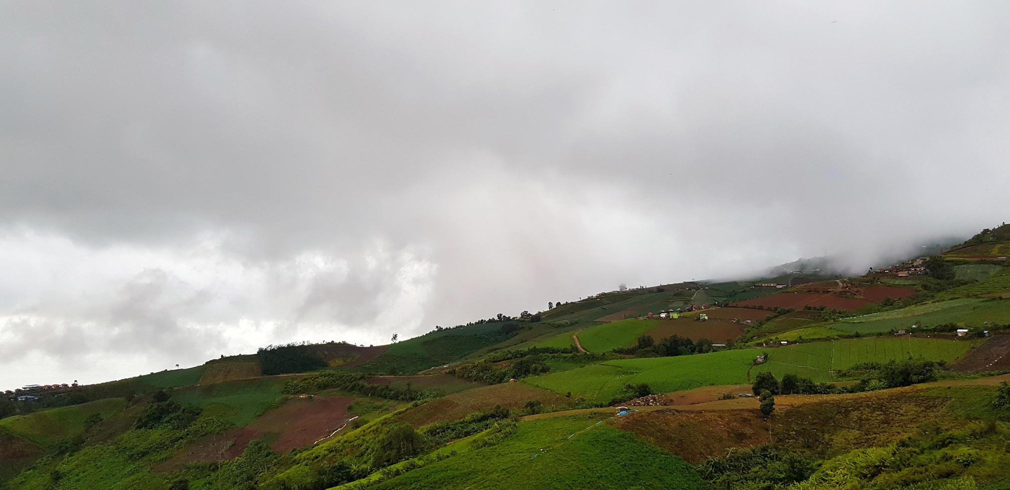 Beautiful range of green mountain white cloud and mist in the morning with copy space. Landscape view of hill at Phetchabun, Thailand. Natural wallpaper and Famous place for travel and relaxing time. photo