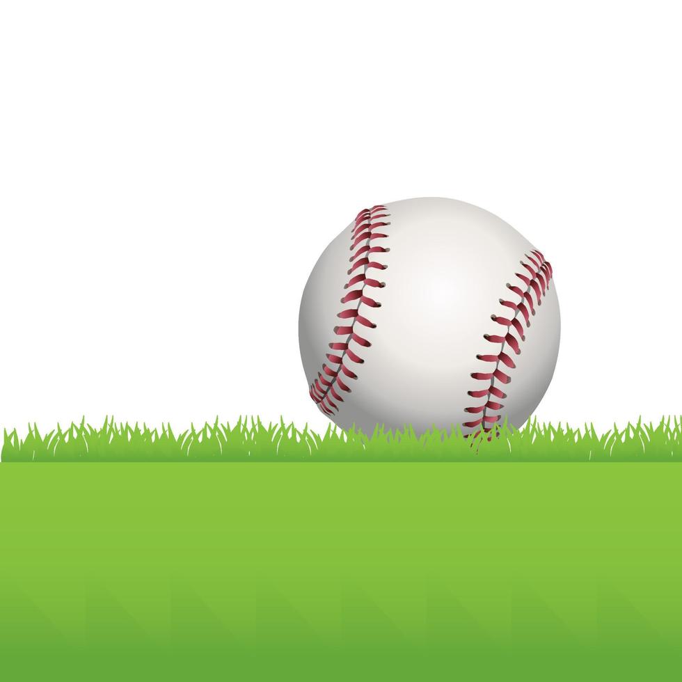 Baseball Sitting on Green Grass Illustration vector