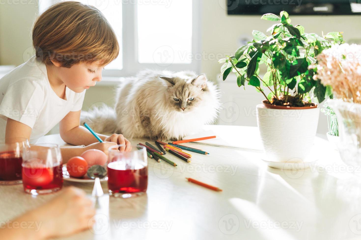 Cute toddler boy decorating easter eggs with fluffy cat on kitchen at home on the spring sunny day photo