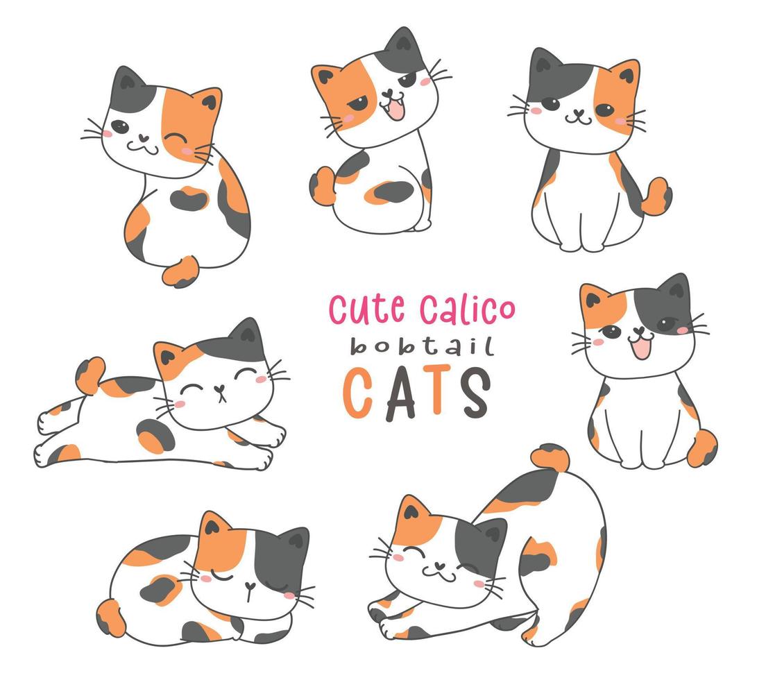 lindo calico bobtail gracioso gato dibujos animados garabato animal dibujo a mano vector