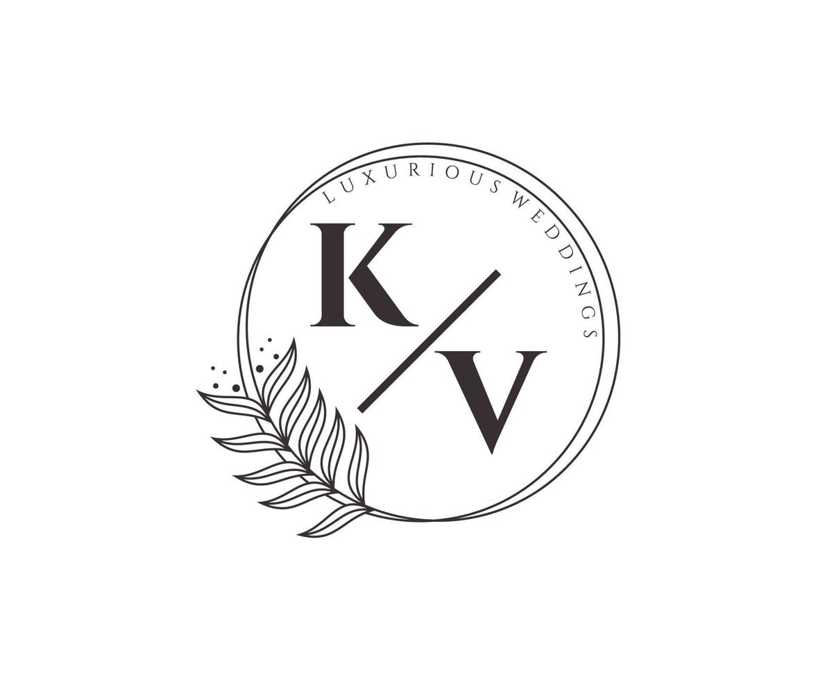 plantilla de logotipos de monograma de boda con letras iniciales kv, plantillas florales y minimalistas modernas dibujadas a mano para tarjetas de invitación, guardar la fecha, identidad elegante. vector