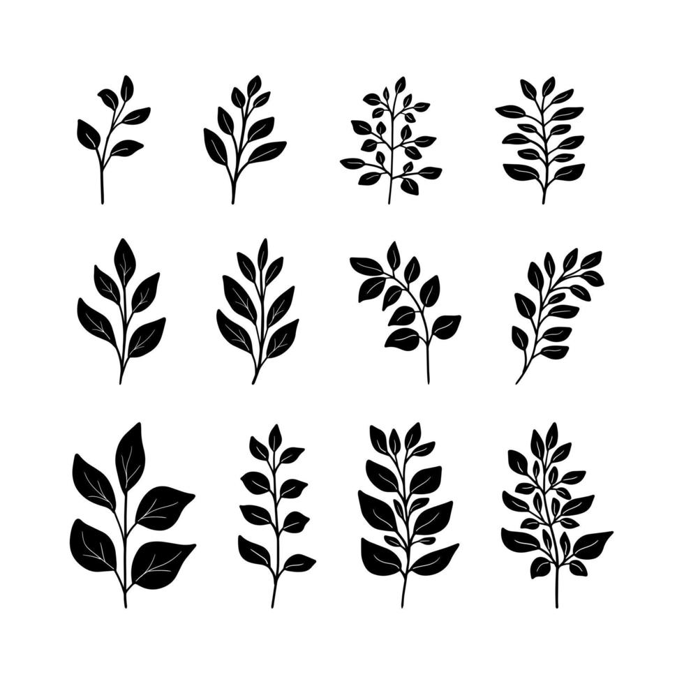 Set of black silhouettes of minimalistic branches, leaves for logo or tattoo, wedding herb. Botanical rustic greenery. Tree art design. Isolated on white background. vector