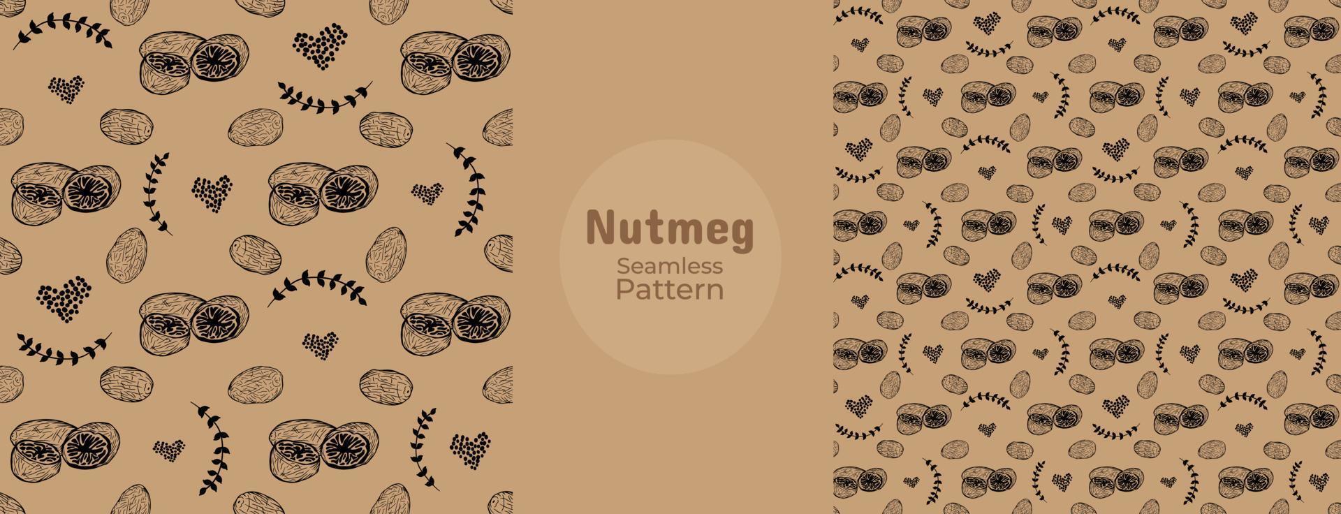 Hand drawn doodle nutmeg seamless pattern. Nutmeg spices, whole nuts and slices in endless texture vector