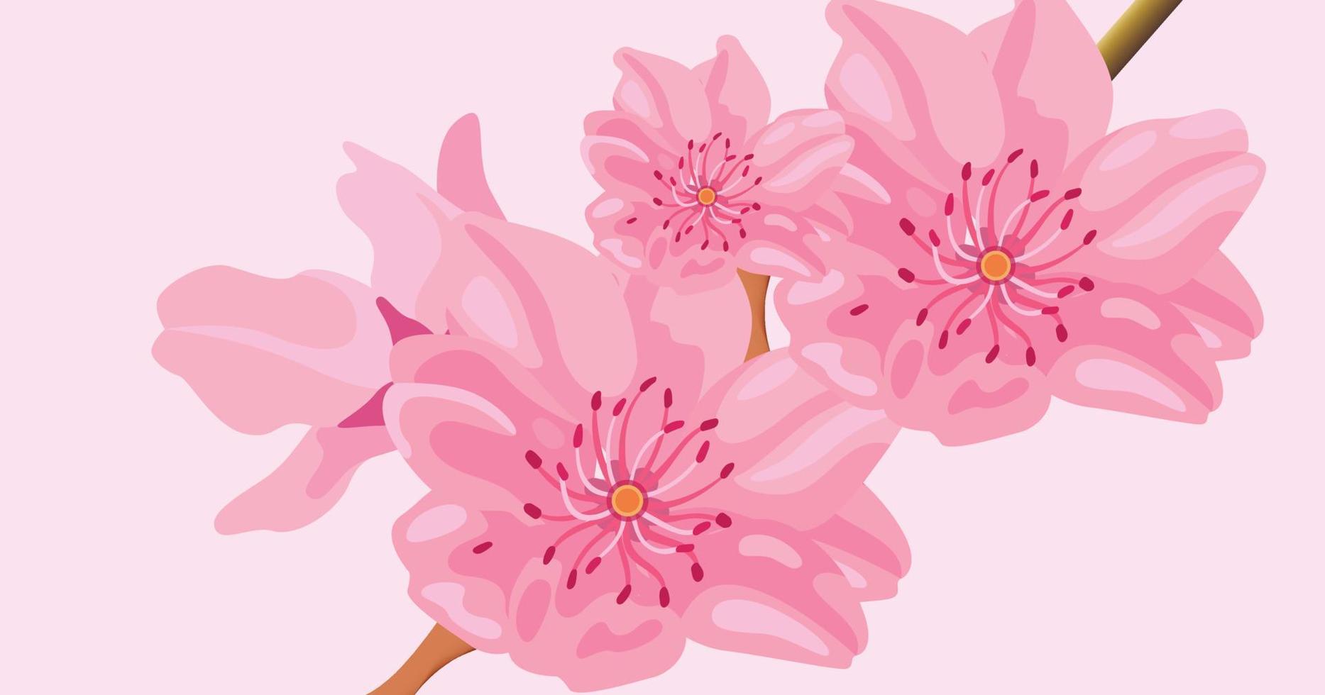 cherry blossom free vector background