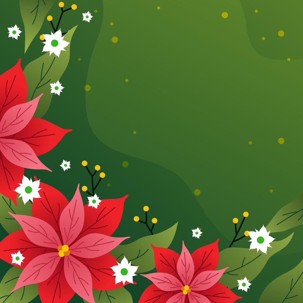 Red Poinsettias Flower Background vector