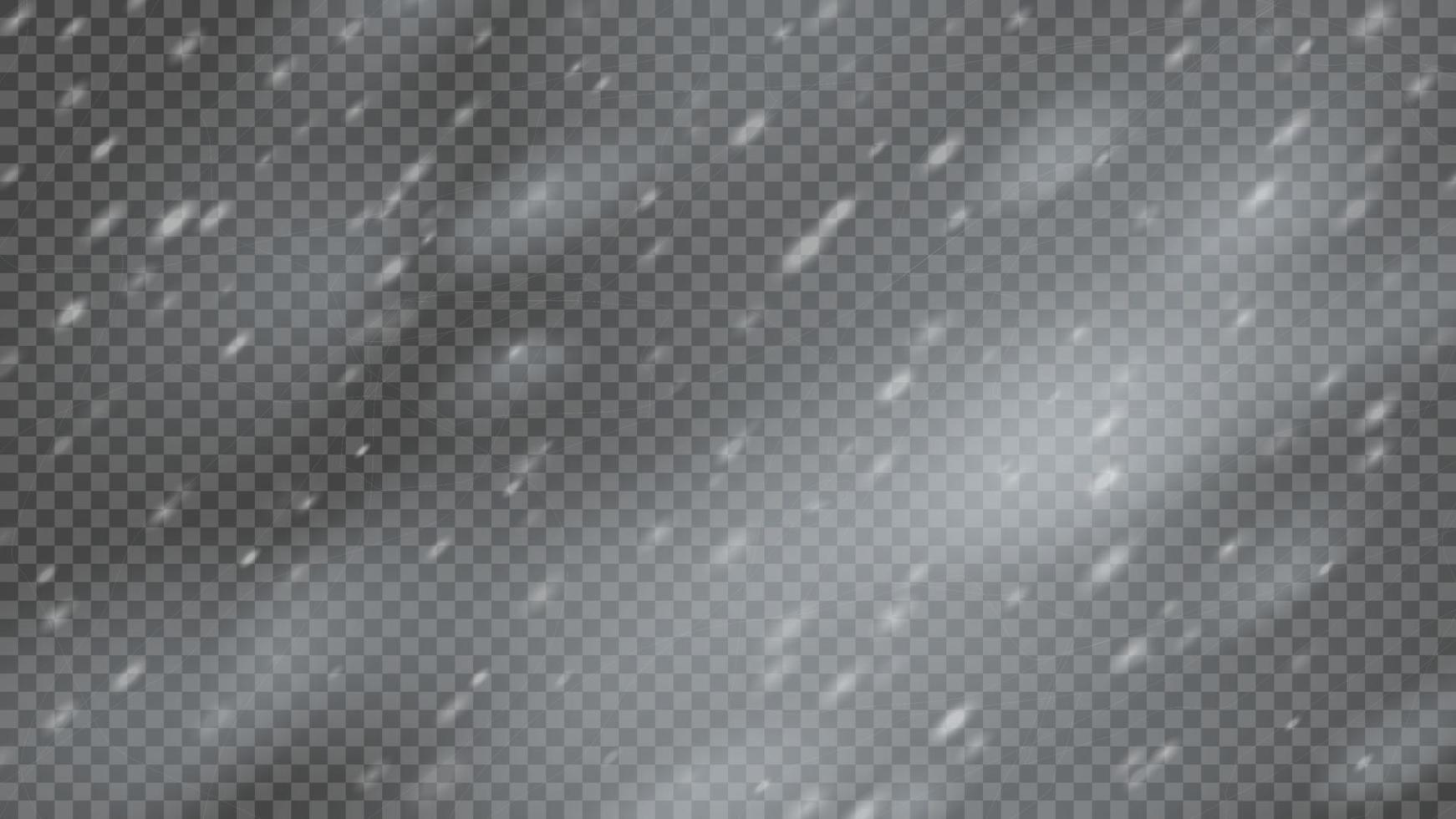 Snowstorm and falling snowflakes vector