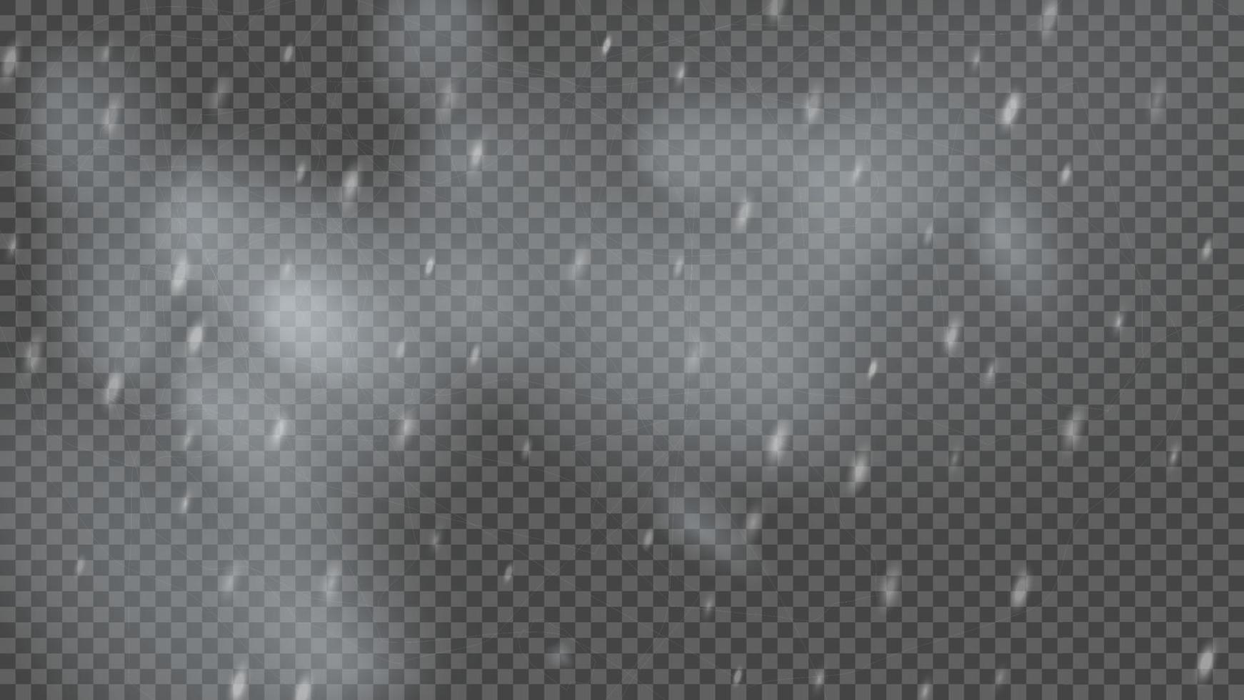 Snowstorm and falling snowflakes vector