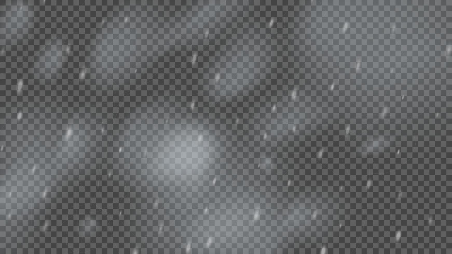 Snowstorm and falling snowflakes vector