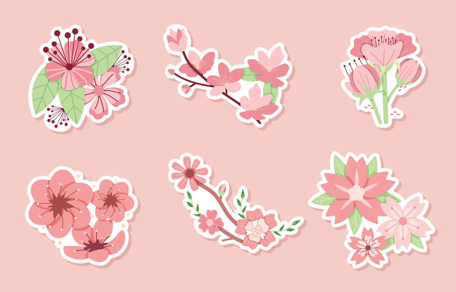 Peach Blossom Flower vector