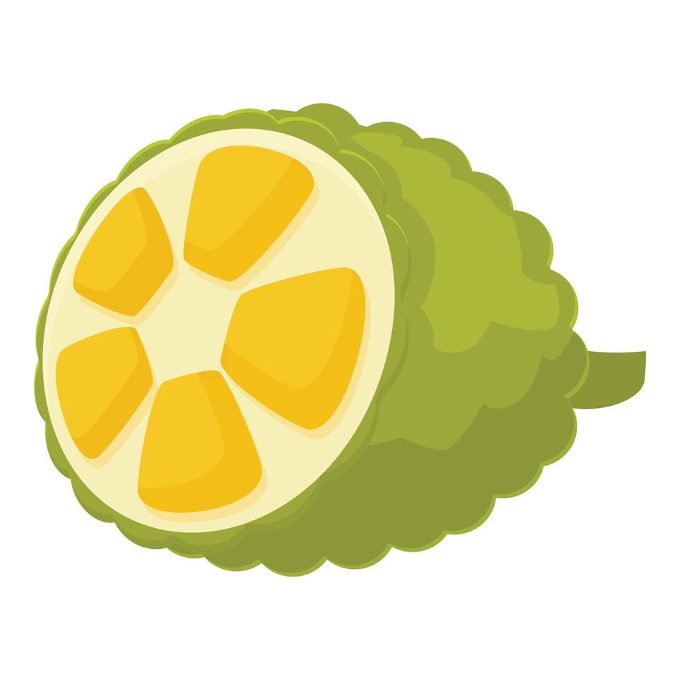 Vegetarian jackfruit icon cartoon vector. Summer food vector