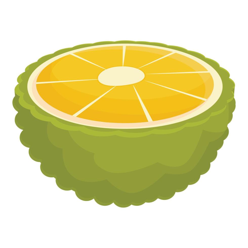 vector de dibujos animados de icono de jackfruit cortado. Fruta de verano