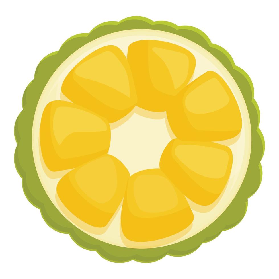 Jackfruit top view icon cartoon vector. Summer food vector