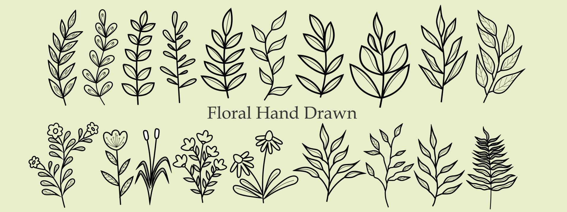 collection of hand drawn line art of leaves and flowers. Decorative beauty elegant illustration for design hand drawn flower. icon vector