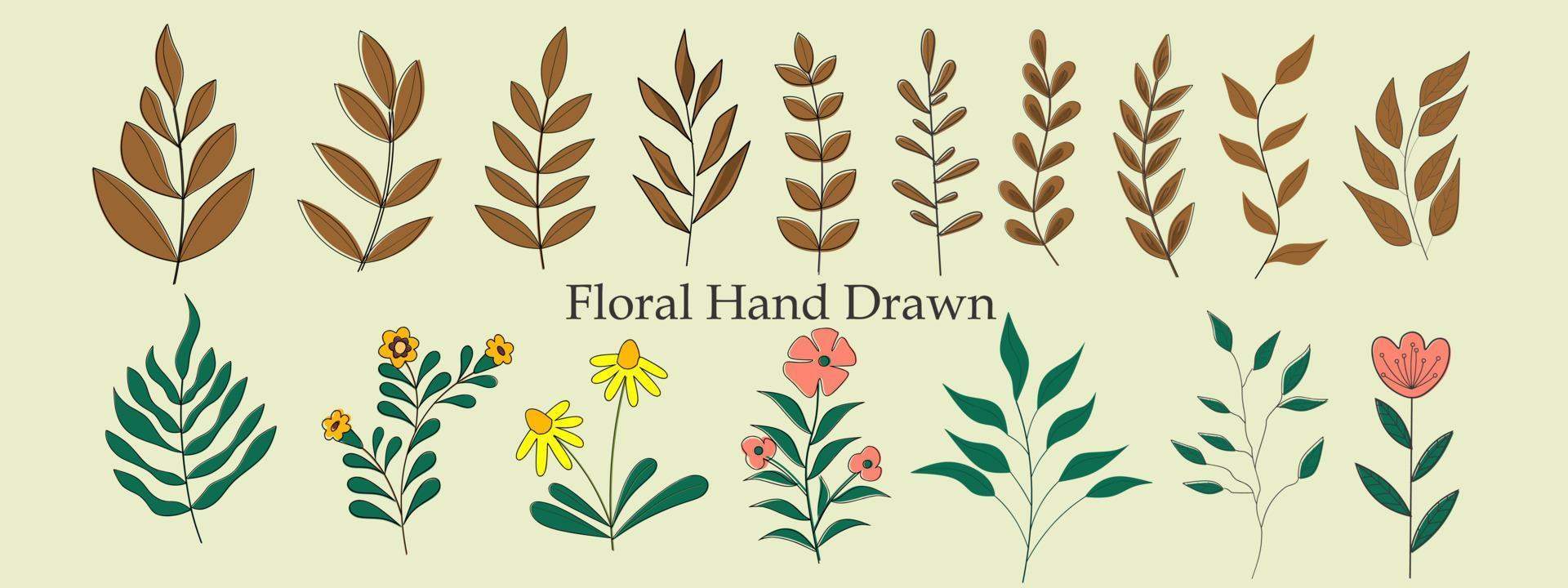 colección de hojas y flores dibujadas a mano. belleza decorativa ilustración elegante para el diseño flor dibujada a mano. icono vectorial vector