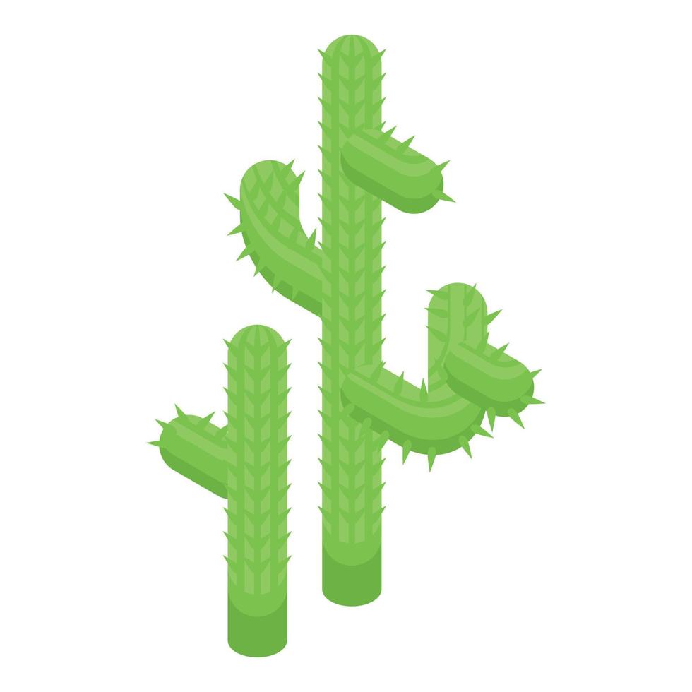 icono de cactus verde chile vector isométrico. viajes al campo