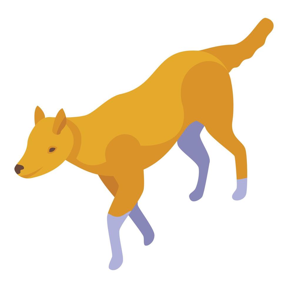 Zoo wild dog icon isometric vector. African mammal vector