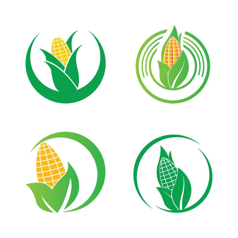 Corn icon vector illustration logo design