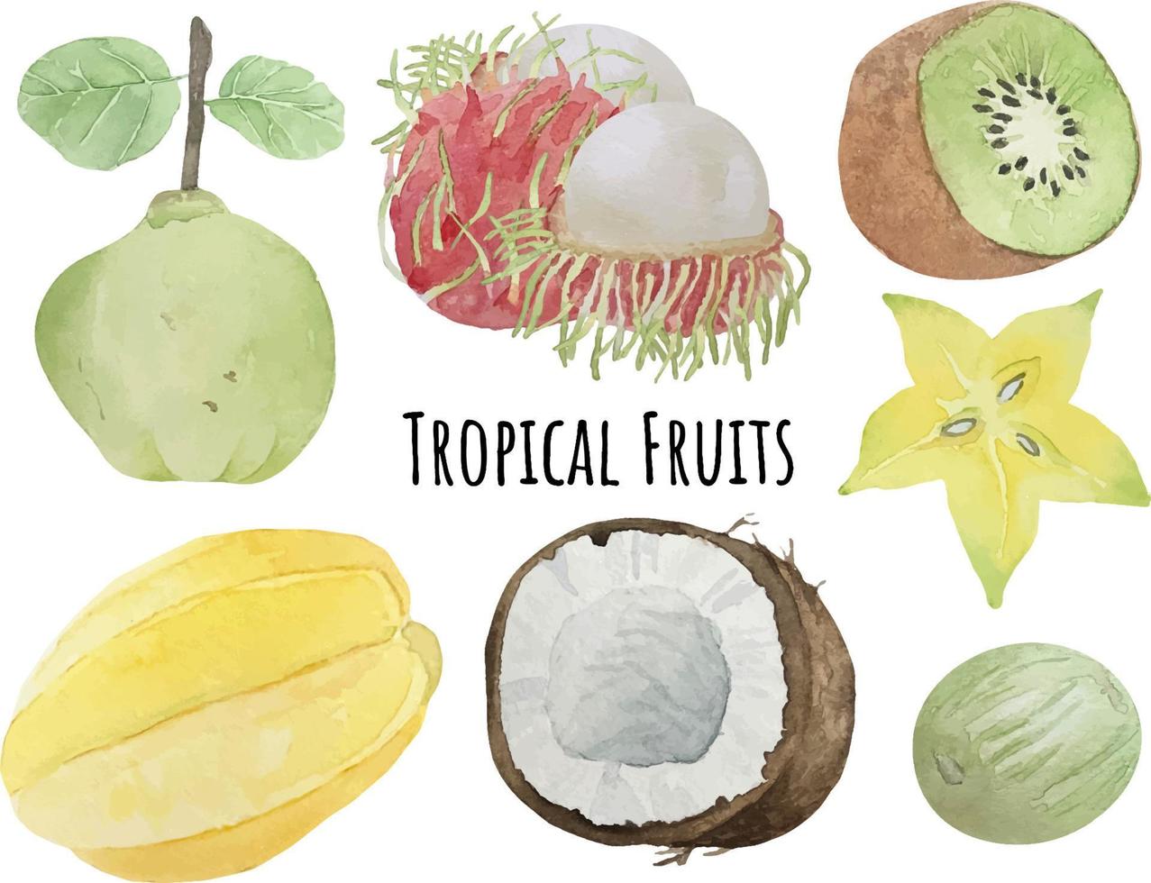 Watercolor background with various tropical fruits on white background. Concept of healthy eating, food background. vector
