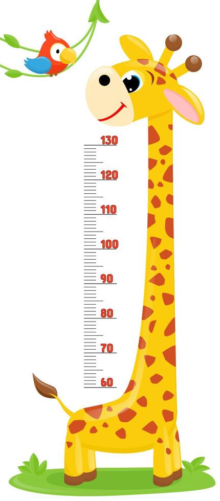 Giraffe,parrot. Meter wall or height chart on white background. vector