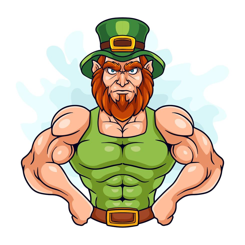 Cartoon leprechaun on white background vector