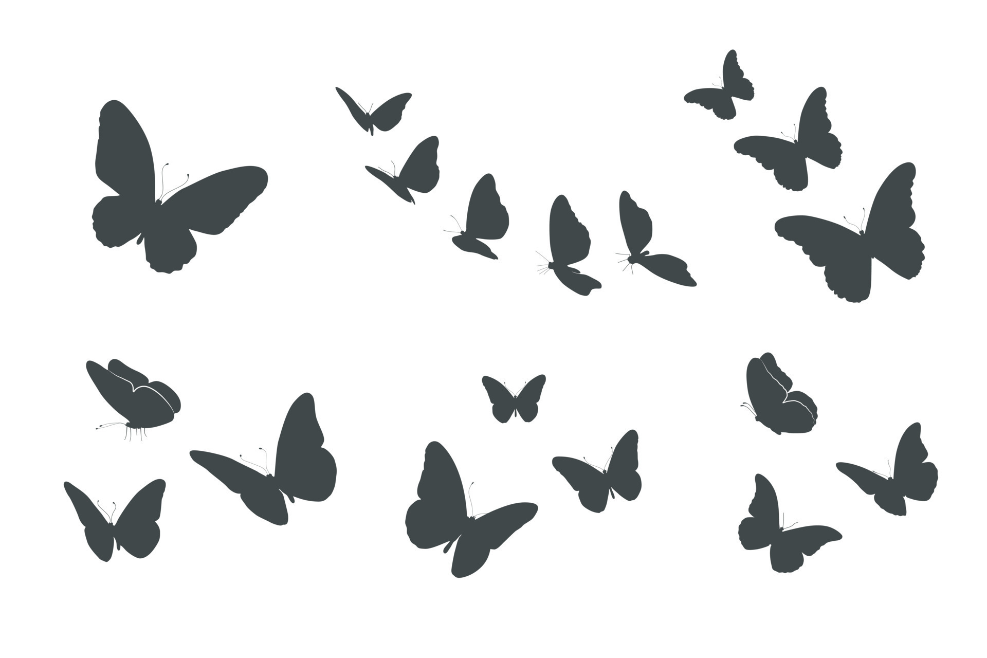 Flying butterfly silhouettes, Butterflies silhouettes. 16827542