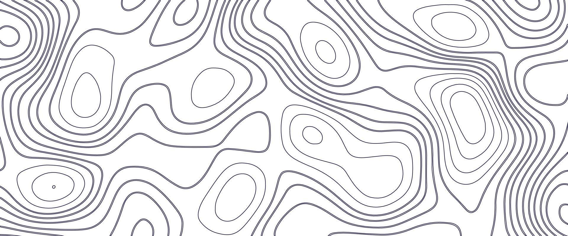 White wave paper curved reliefs abstract background, Abstract topographic contours map background. Geographic mountain relief. Abstract lines background. Contour maps. Business concept. vector