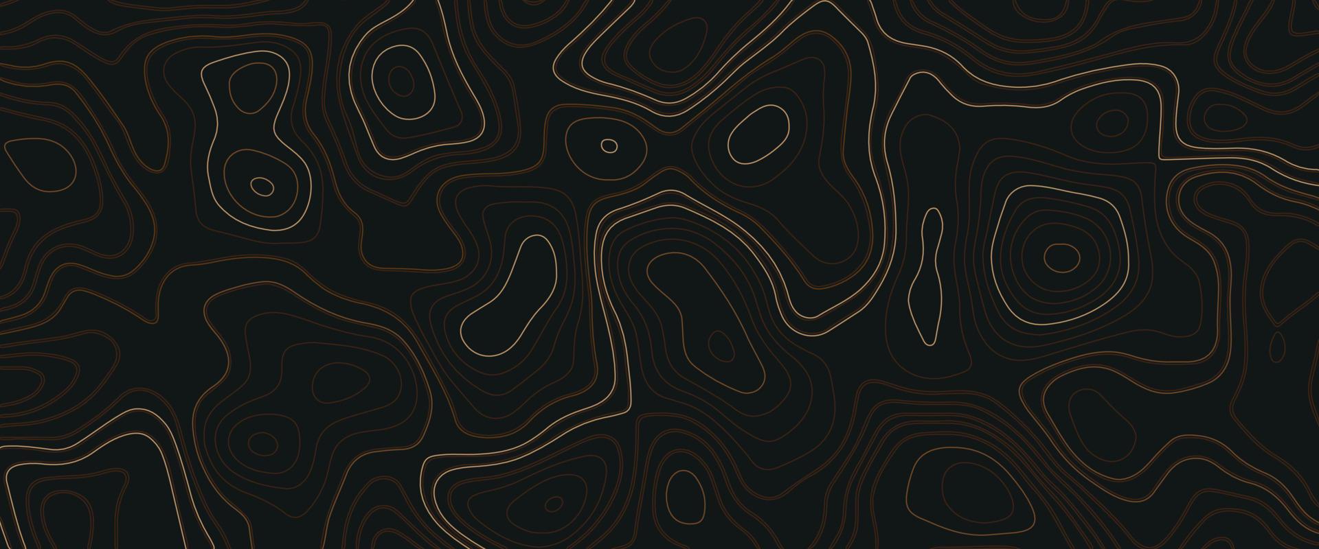 mapa topográfico. fondo abstracto con líneas y círculos. líneas de contorno de montaña de oro. terreno topográfico. fondo topográfico negro dorado. vector