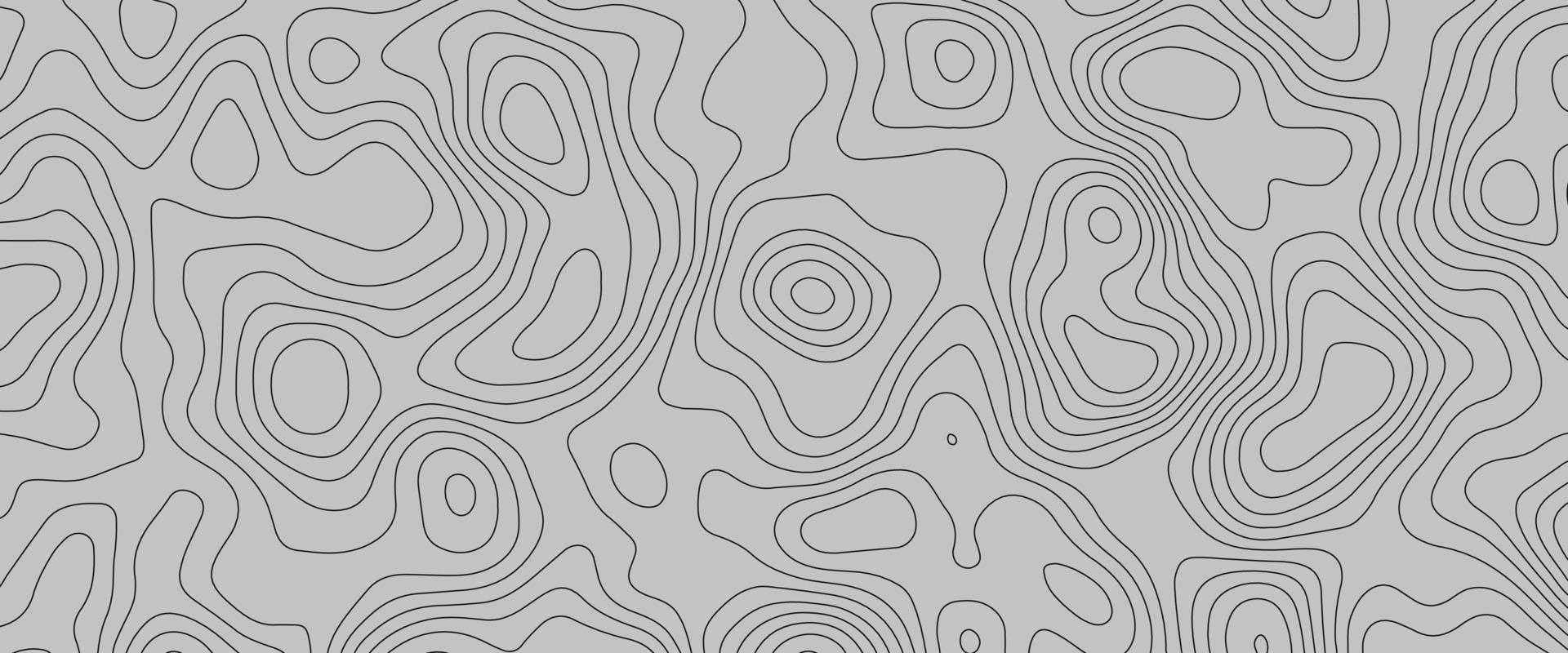 fondo topográfico y textura. abstracción con lugar para el texto. líneas de fondo topo, contorno, cuadrícula geográfica. modernas líneas de contorno topográficas en blanco y negro de las montañas. arte del mapa de topografía vector