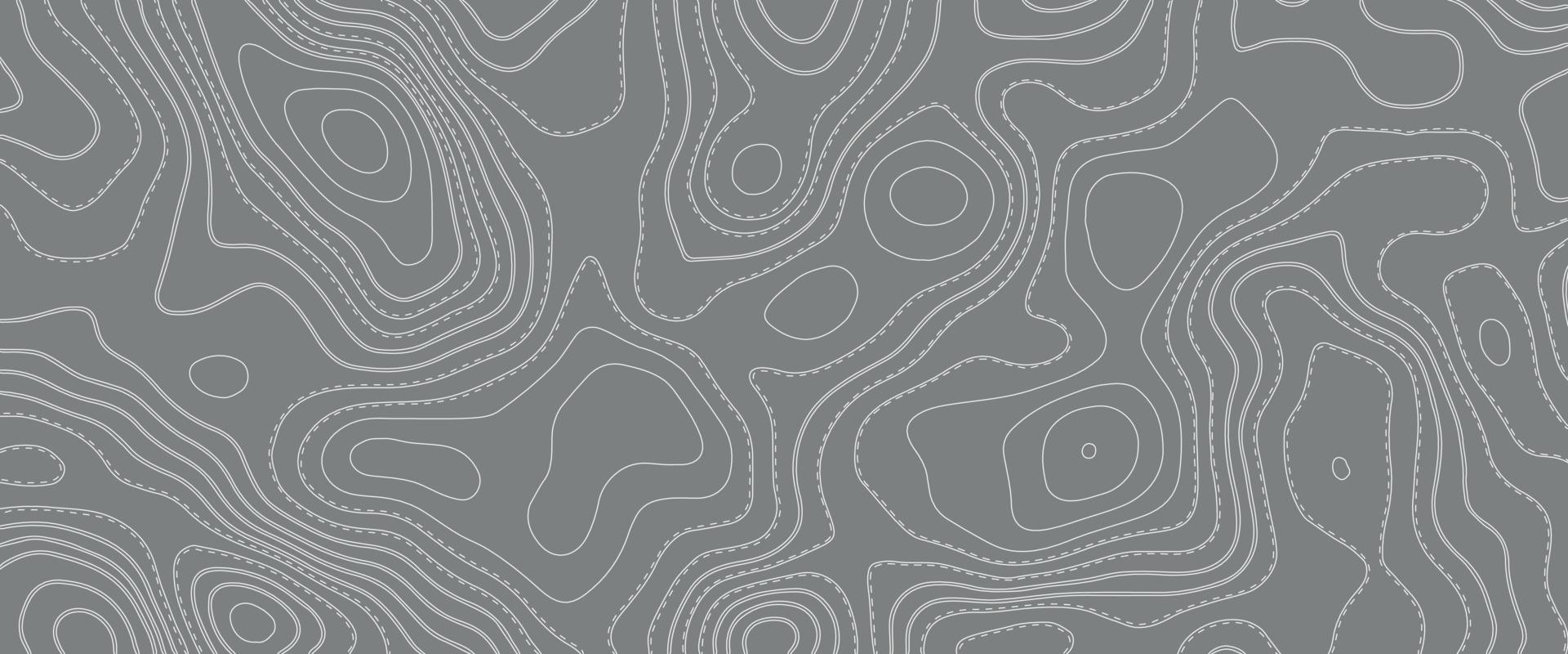 Abstract topographic map background. Abstract topographic map background. Imitation of a geographical map. Geographic map conceptual design. Elegant background for presentations vector