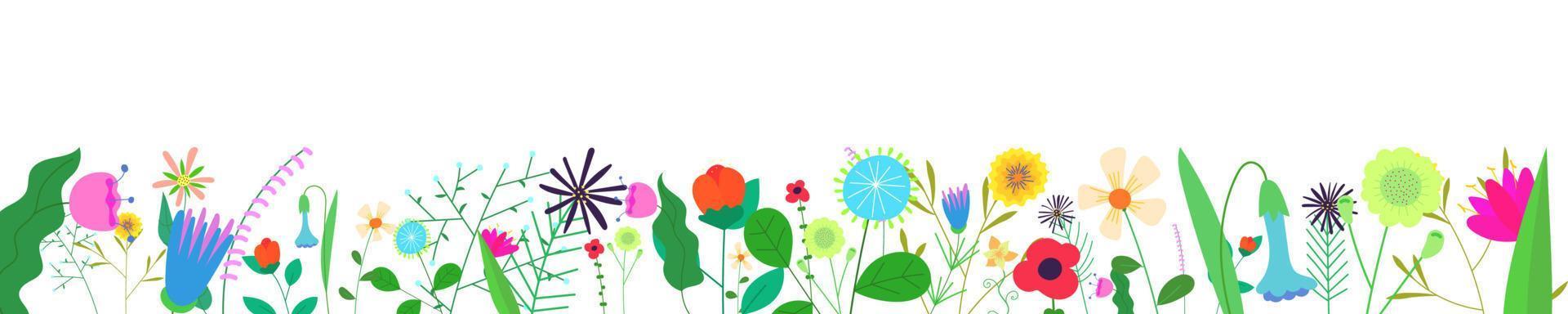 Floral horizontal banner on white background. Spring wild blooming flowers border. Herbal plants decoration. Delicate summer field and meadow wildflowers. Botanical eps abstract blooms on frame bottom vector