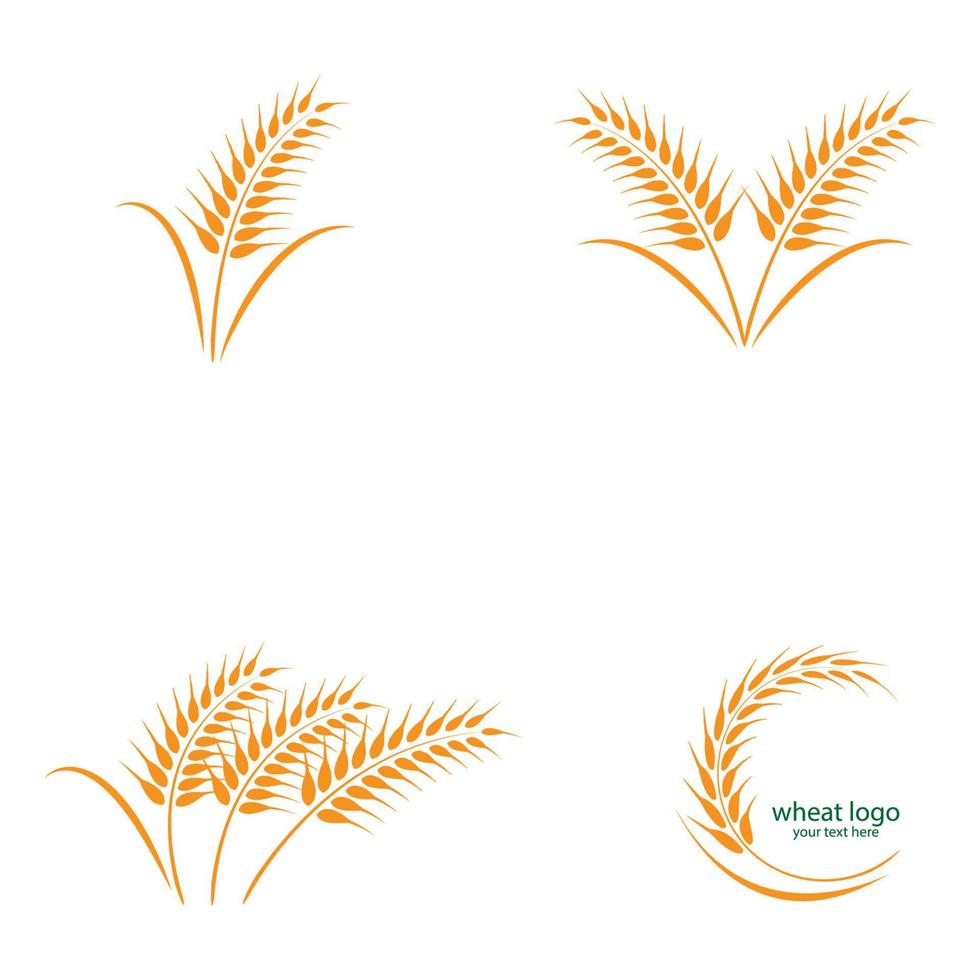 wheat logo vektor vector