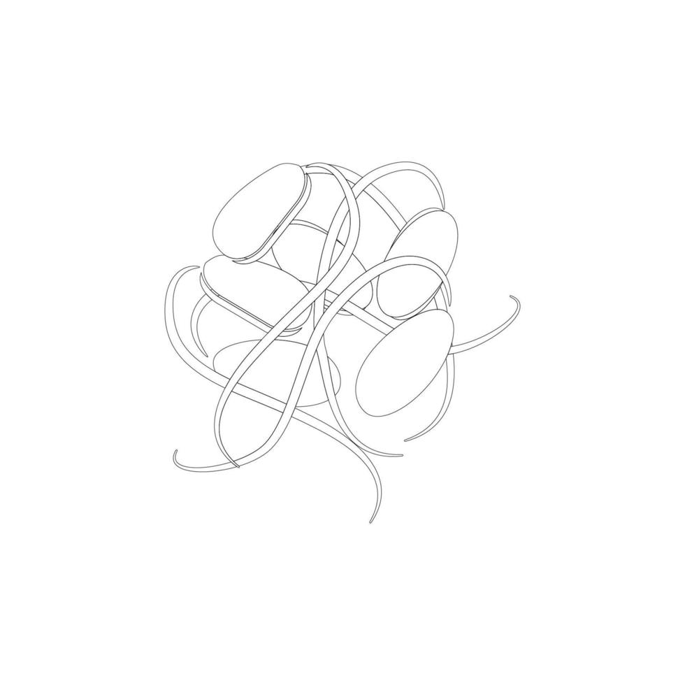 bean sprouts icon illustration design vector