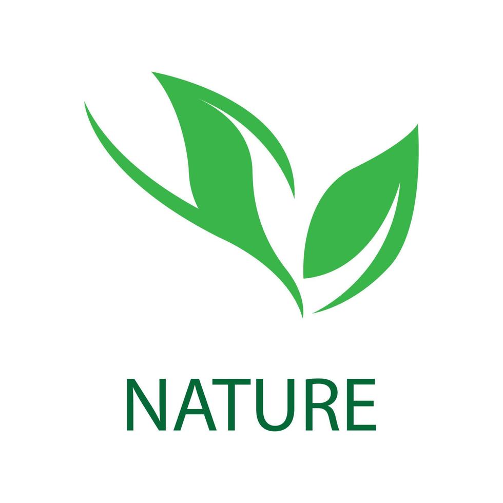 leaf nature logo concept template vector