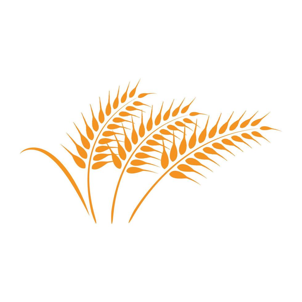 wheat logo vektor vector