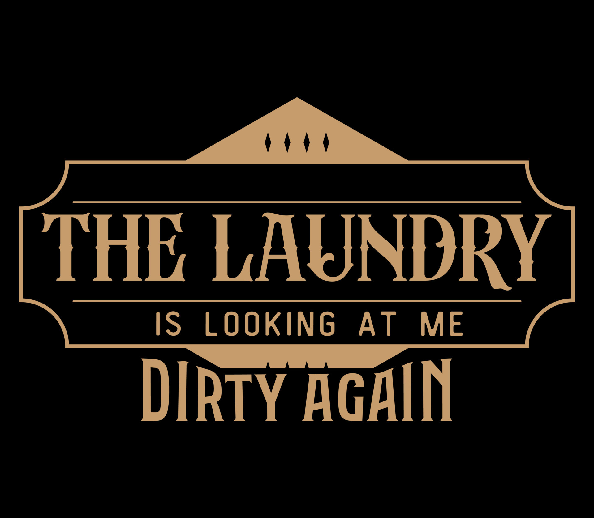 Vintage laundry sign symbols vector illustration isolated. Laundry