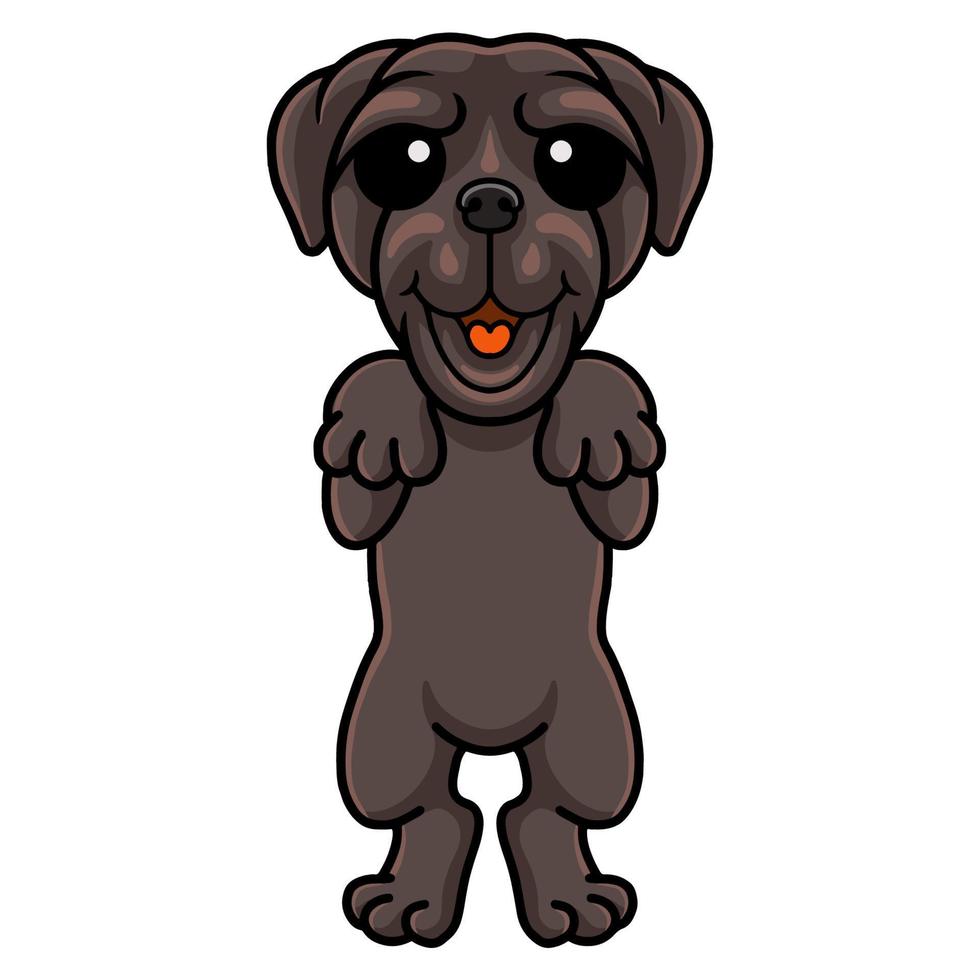 pie de dibujos animados lindo perro mastín napolitano vector